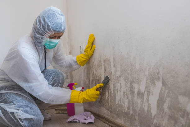 Best Airborne Mold Testing  in Sparta, NC